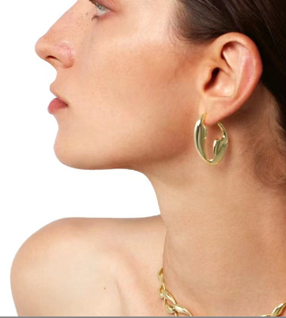 Flowing Curves Hoop Earrings