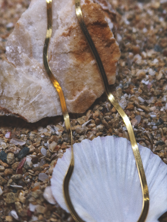 Sleek Herringbone Necklace